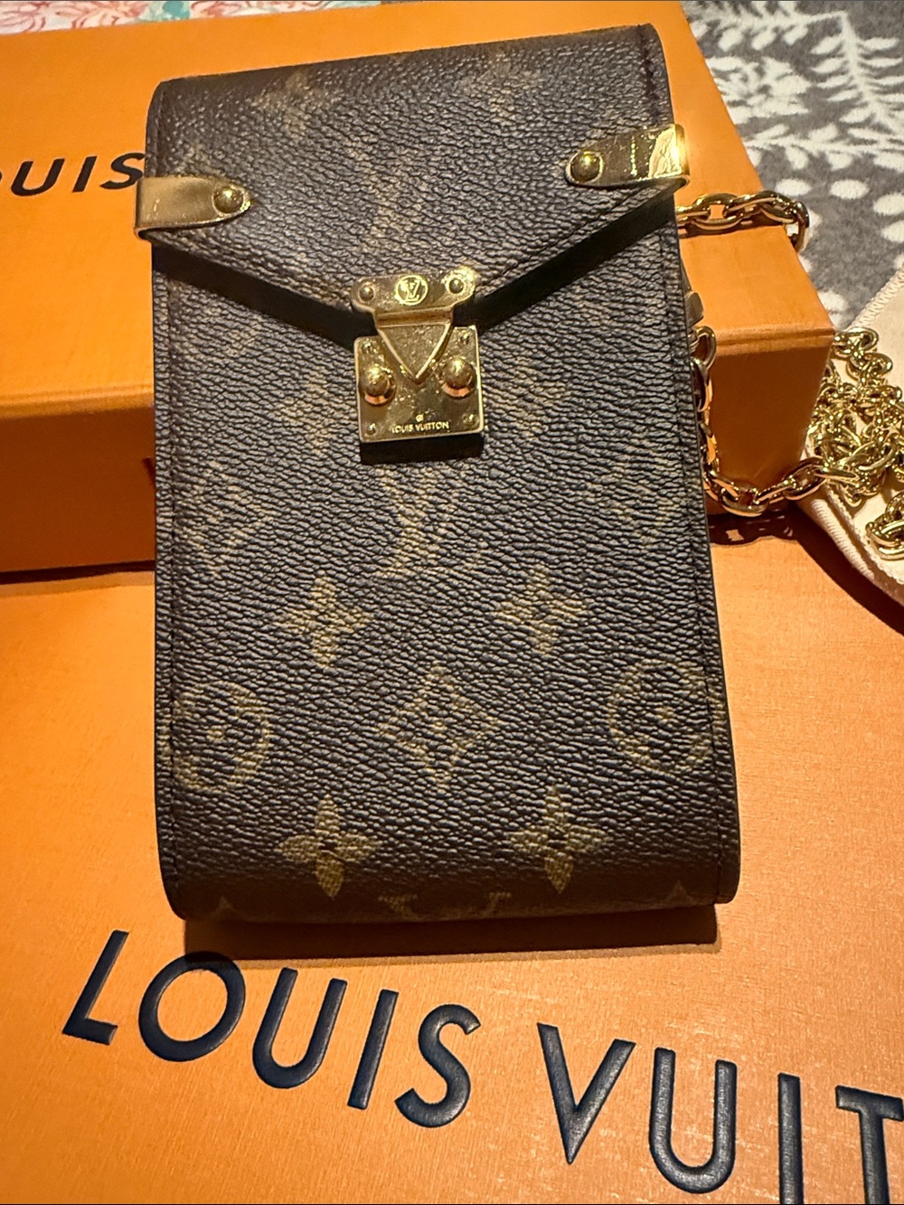 Louis Vuitton Monogram Mini Chain Pouch in Brown with Gold Hardware